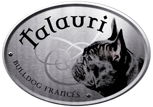 talauri-logo